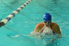 Swimming vs Bentley  Wheaton College Swimming & Diving vs Bentley College. - Photo by Keith Nordstrom : Wheaton, Swimming & Diving
